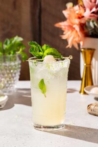 non alcoholic cocktails